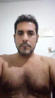 Elas somente elas
