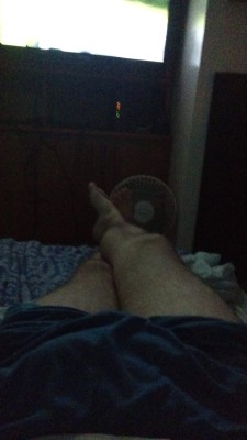 Gringo carinhoso