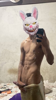 Novinho 20