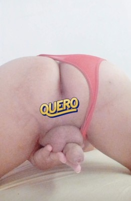 ANGEL EVANGELISTA