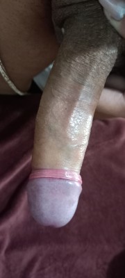 Daniella Transex