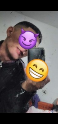 Novinho19