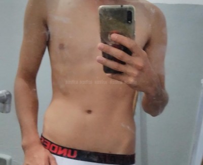Novinho19